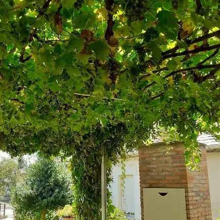 Holiday home El Maragato